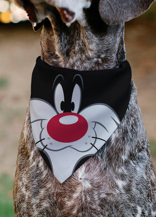 Pet Bandana - LOONEY TUNES Sylvester the Cat Face Close-Up Black