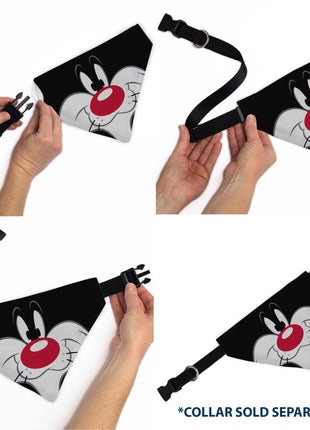 Pet Bandana - LOONEY TUNES Sylvester the Cat Face Close-Up Black