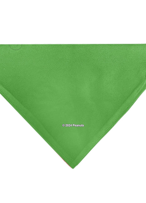 Pet Bandana - Peanuts Gang Group Pose Green