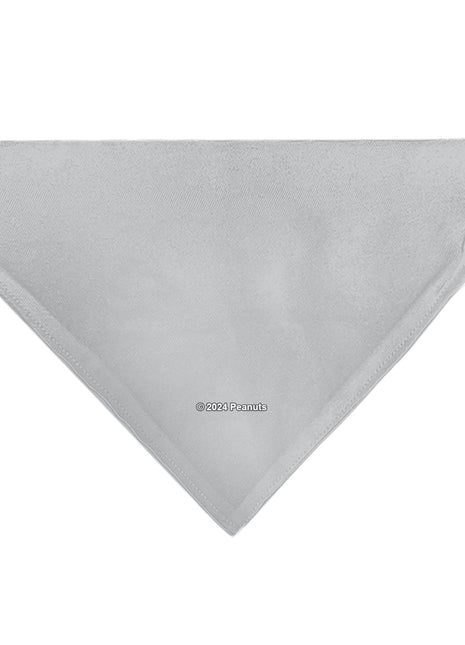 Pet Bandana - Peanuts Gang Floating Astronauts Group Pose Gray