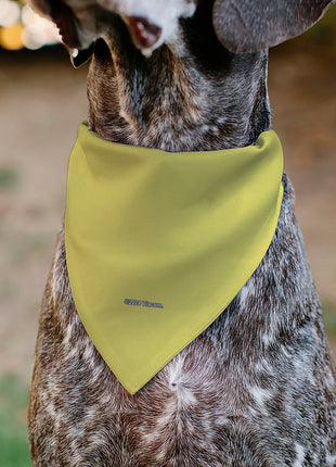 Pet Bandana - SpongeBob SquarePants NORMAL IS BORING Pose Yellows