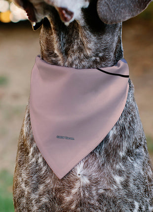 Pet Bandana - SpongeBob SquarePants Gary the Snail Face Close-Up Pink