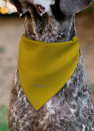 Pet Bandana - Star Trek Original Series Golden Yellow Uniform Print
