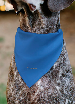 Pet Bandana - Star Trek Original Series Blue Uniform Print