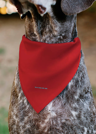 Pet Bandana - Star Trek Original Series Red Uniform Print