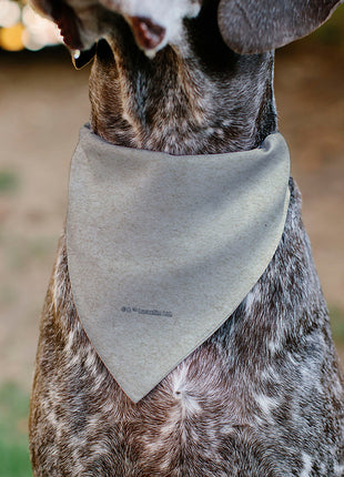 Pet Bandana - Star Wars The Madalorian Impression Painting Beige
