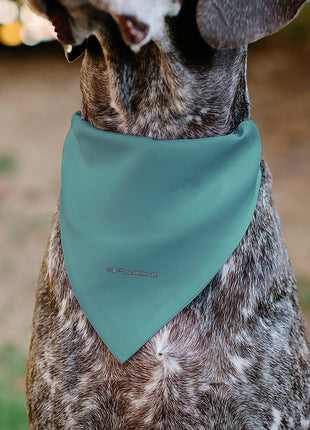 Pet Bandana - Star Wars The Madalorian and Grogu WHERE HE GOES I GO Pose Blue/Black