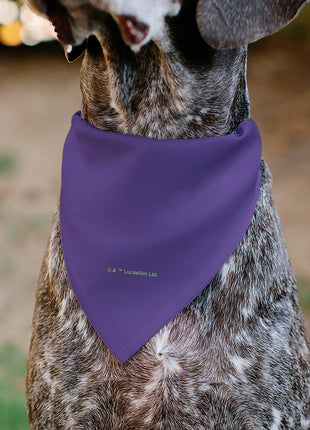 Pet Bandana - Star Wars EWOK Text and Wicket Pop Art Pose Orange/Purples/Black