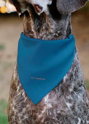 Pet Bandana - Star Wars CHEWIE Text and Chewbacca Pop Art Pose Red/Blue/Black