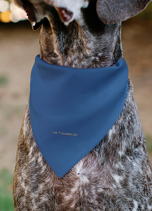 Pet Bandana - Star Wars JEDI Text and Yoda Lightsaber Pop Art Pose Black/Blues