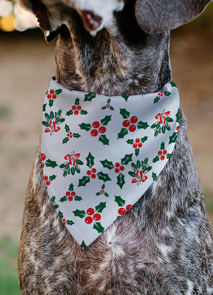 Pet Bandana - Holly & Mistletoe