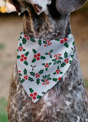 Pet Bandana - Holly & Mistletoe