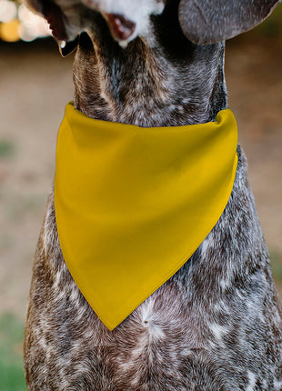 Pet Bandana - Colorado Flag/Mountain Silhouette Yellow