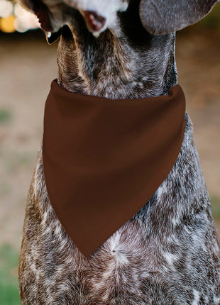 Pet Bandana - BIG BROTHER Text and Paw Browns