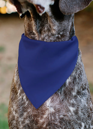 Pet Bandana - BIG SISTER Text and Paw Blues/Lavender
