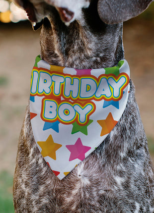 Pet Bandana - BIRTHDAY BOY Text and Stars White/Multi Color