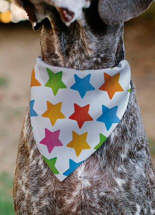 Pet Bandana - BIRTHDAY BOY Text and Stars White/Multi Color