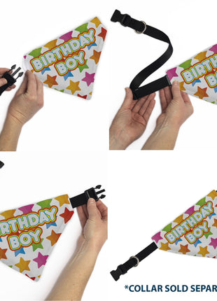 Pet Bandana - BIRTHDAY BOY Text and Stars White/Multi Color