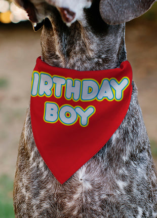 Pet Bandana - BIRTHDAY BOY Text Red/Yellow/Blue/White