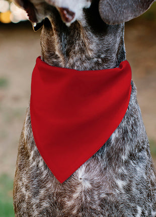 Pet Bandana - BIRTHDAY BOY Text Red/Yellow/Blue/White