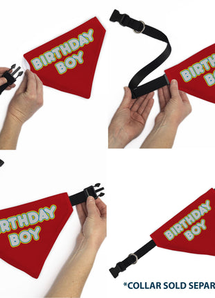 Pet Bandana - BIRTHDAY BOY Text Red/Yellow/Blue/White