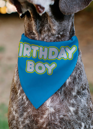 Pet Bandana - BIRTHDAY BOY Text Blue/Yellow/White