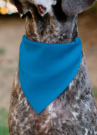 Pet Bandana - BIRTHDAY BOY Text Blue/Yellow/White