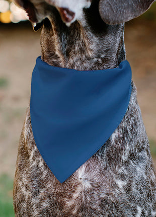 Pet Bandana - BIRTHDAY BOY Text Paw and Confetti Blue/Multi Color