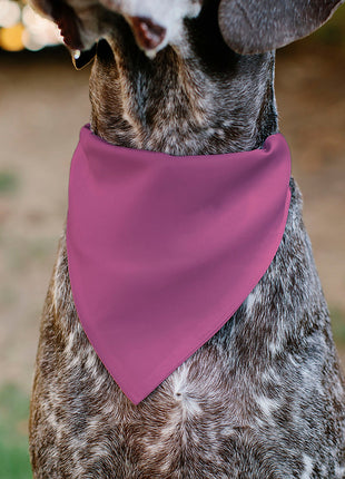 Pet Bandana - BIRTHDAY GIRL Text Pinks/White
