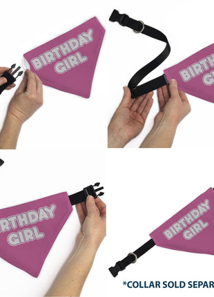 Pet Bandana - BIRTHDAY GIRL Text Pinks/White