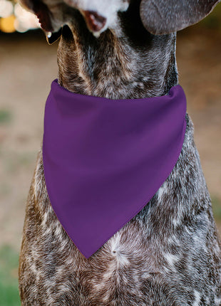 Pet Bandana - BIRTHDAY GIRL Text Purples/White