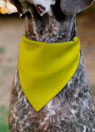 Pet Bandana - DO NOT PET Warning Yellows/Black