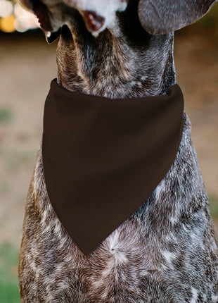 Pet Bandana - HALLOWEEN Jack-O-Lantern Pumpkin Black/Orange