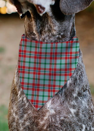 Pet Bandana - Holiday Pajama Plaid Beige/Red/Green