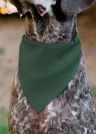 Pet Bandana - PET ME Text and Paw Olive/Pinks/Brown