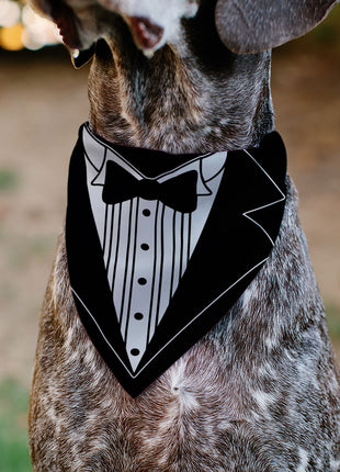 Pet Bandana - Tuxedo Shirt Print Black/White