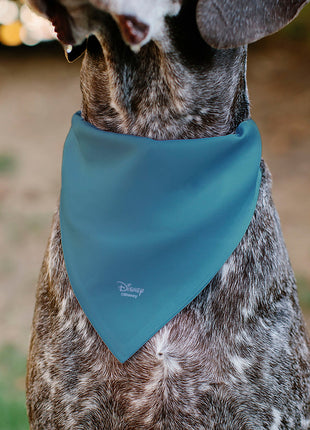 Pet Bandana - The Little Mermaid Ariel Pose and Shells Sketch