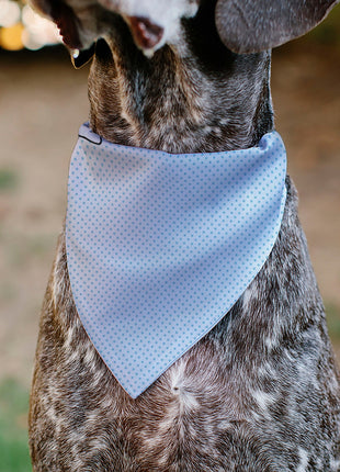 Pet Bandana - Lilo & Stitch Stitch Winking Pose and Polka Dots White/Blue