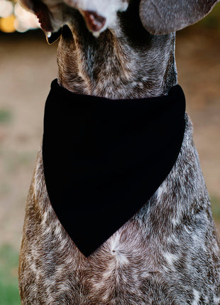 Pet Bandana - Nightmare Before Christmas ZERO Smiling Pose Black/White