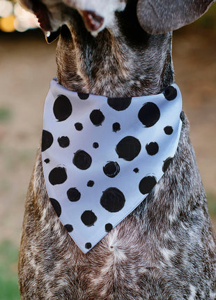 Pet Bandana - 101 Dalmatians Cruella's Spots White/Black
