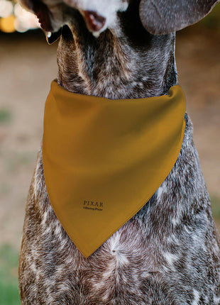 Pet Bandana - Up Dug SQUIRREL Pose and Wilderness Explorer Badge Orange
