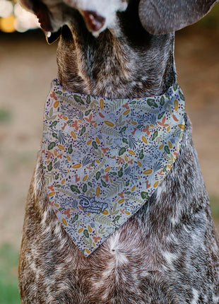 Pet Bandana - Winnie the Pooh Smiling Face/Foliage Collage Beige/Green/Orange/Yellow