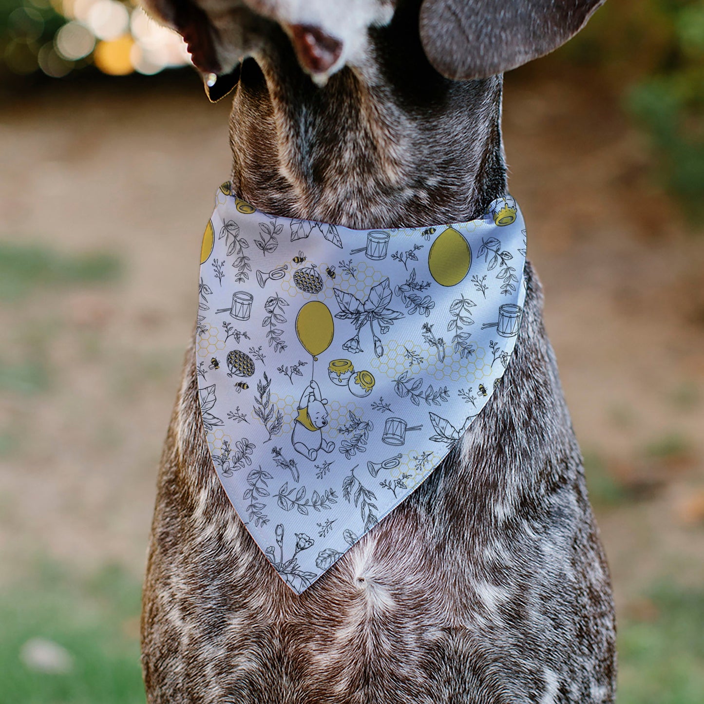 Pet Bandana - Winnie the Pooh Balloon Pose and Foliage Collage Beige/Black/Yellows