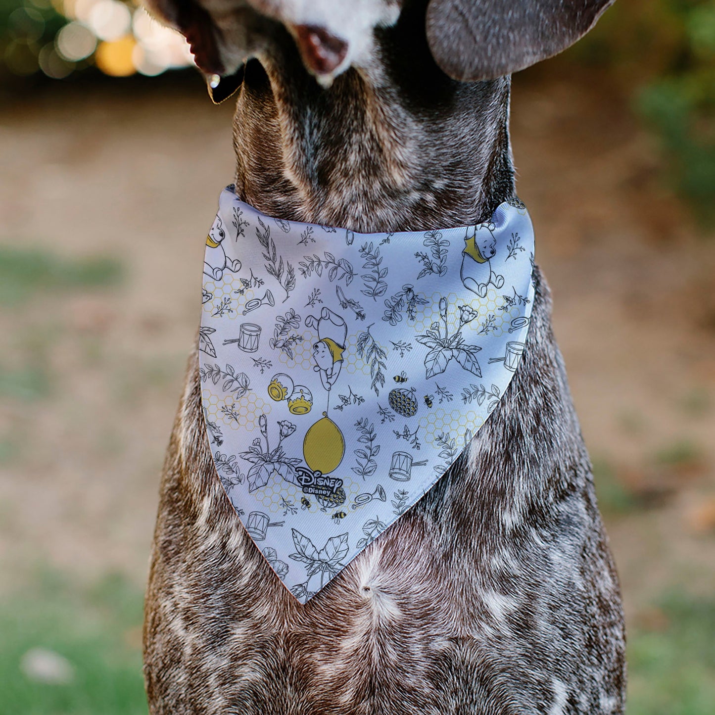 Pet Bandana - Winnie the Pooh Balloon Pose and Foliage Collage Beige/Black/Yellows