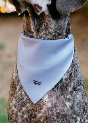 Pet Bandana - Disney Dogs 9-Dog Group Collage/Stars White/Black/Yellow