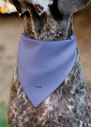 Pet Bandana - Mickey Mouse Ears Flower Icon Scattered Pink