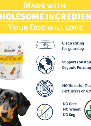 Dog Mamma's Organic Peanut Butter Banana Recipe - USDA Organic Certified Dog Treats
