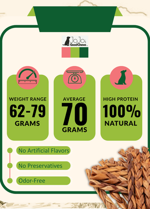 All-Natural Braided Collagen Stick Dog Treats, Supports Joint, Skin & Coat Health – 12-Inch Standard (25/Case)