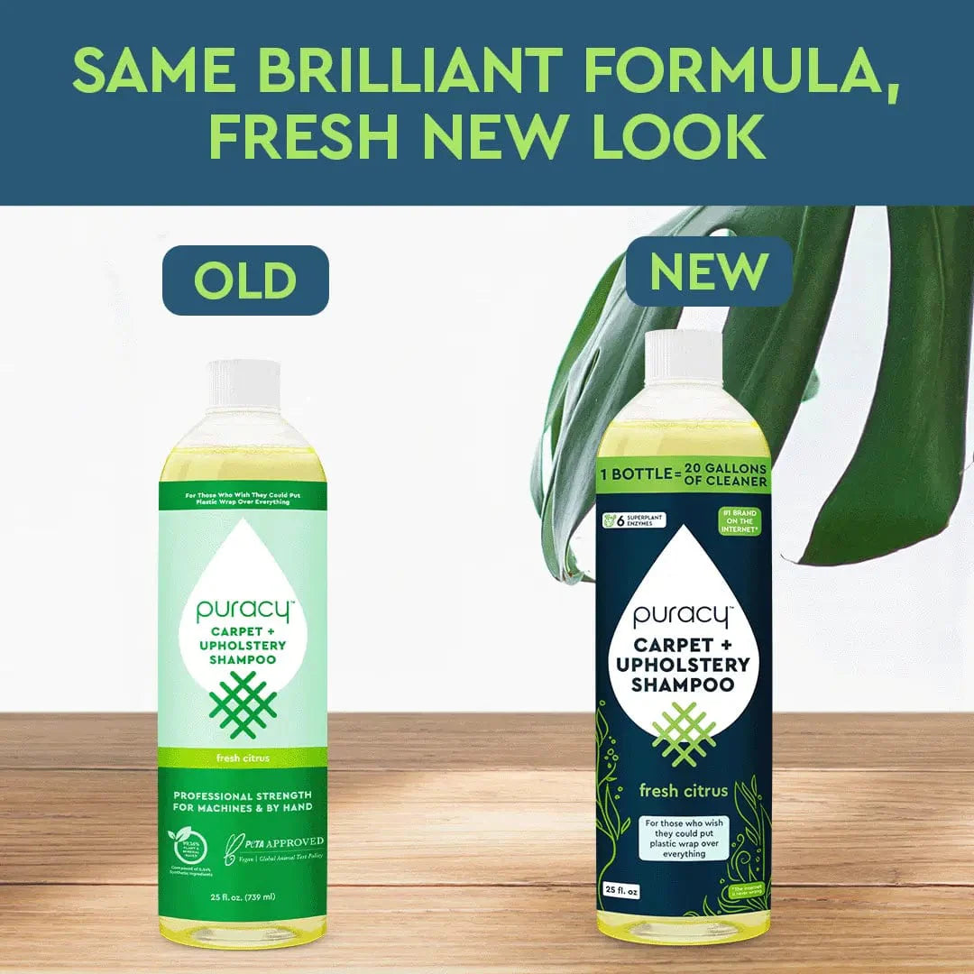 Carpet & Upholstery Shampoo