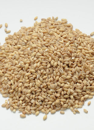 Whole Grain Original